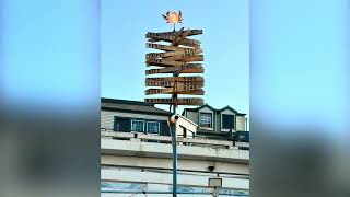 Quality Seafood at Redondo Beach Pier #socal #seafood #redondobeachca 