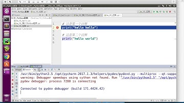 黑马程序员 Python 教程： 041 程序的注释 03 解释器不会解释#右侧的内容