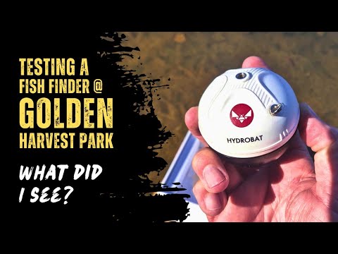RIPPTON HYDROBAT FISH FINDER | Carp Fishing South Africa