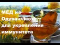 ЦЕЛЕБНЫЙ МЕД#ВАРЕНЬЕ из одуванчиков ДЛЯ ИММУНИТЕТА  Jam from dandelions for immunity