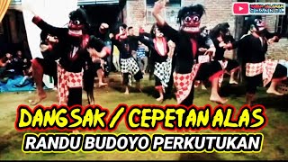 DANGSAK / CEPETAN ALAS ‼️ RANDU BUDOYO LIVE MALAM