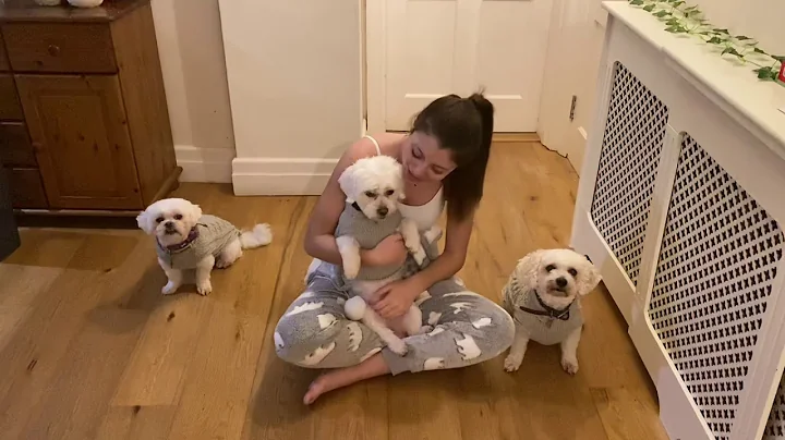 Maida and her backing singers.
