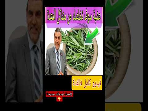 عشبة أزير تخلص من مشاكل المعدة  الدكتور الفايد