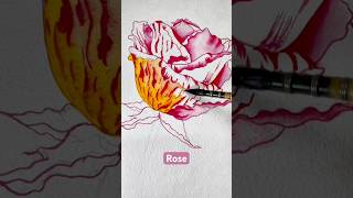 Variegated Rose, Easy watercolor tutorial #youtube #painting #art #tutorial #watercolor #shorts