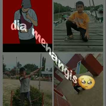 Sthepedua