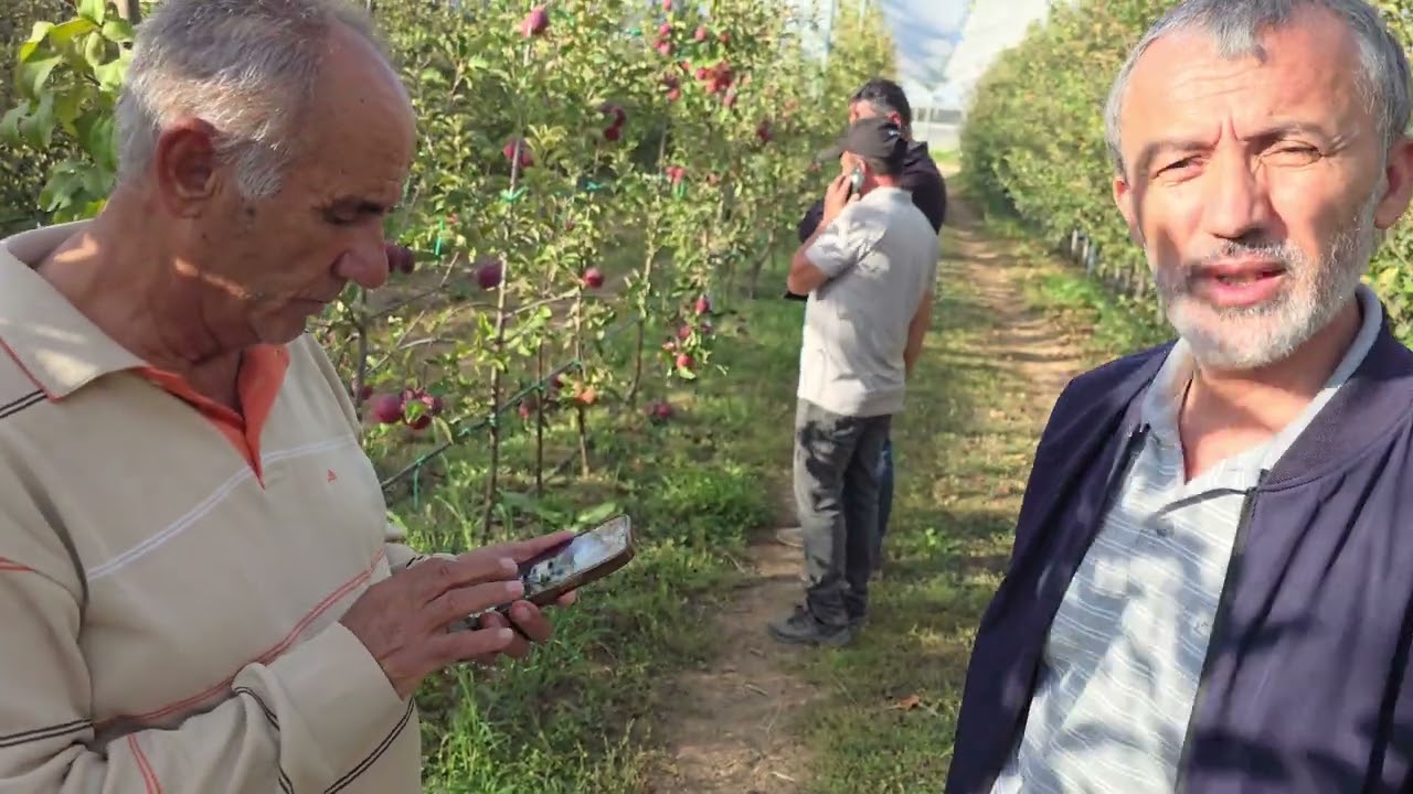 +992900004489 ватсап.Себи СТОРЕ ОНОРЕД. НОВИНКА. 50 СОМОНӢ.