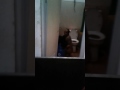 Dadang telanjang bulat di kamar mandi