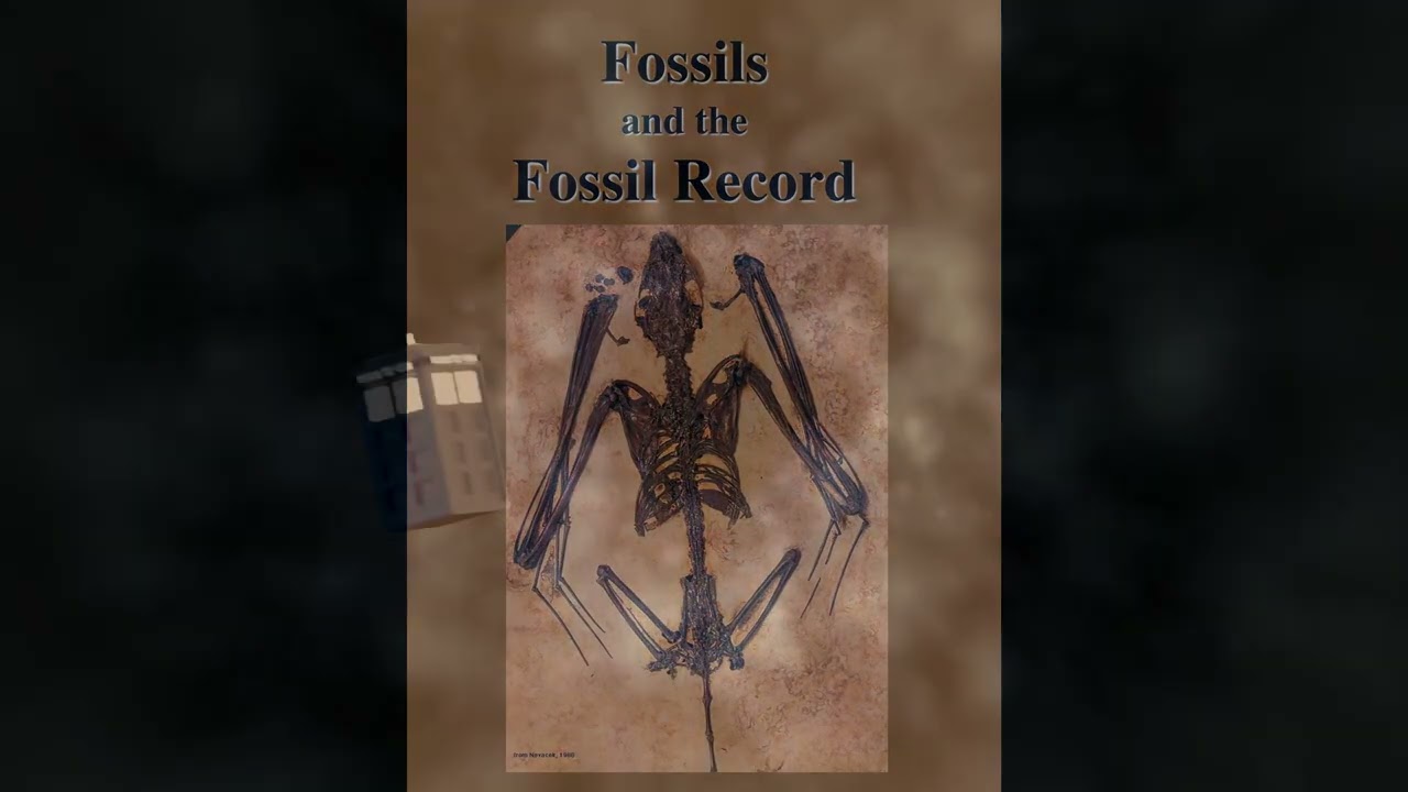 TRIXTER GRAFFITI ARTIST - A-H All Hard: A Journey in Time And Relative Dimension(s) In Space