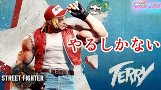 【sf6】テリー…やってみるか【夢兎卯吉】