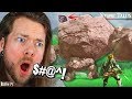 Nintendo, WHY DID YOU MAKE THIS SO HARD?!