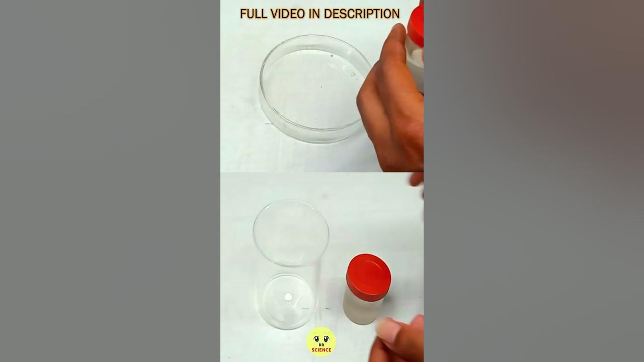 Thin Layer Chromatography Tamil Dr Science YouTube