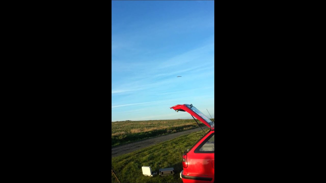 camera iphone 8 plus apk Dads mates plane(7)