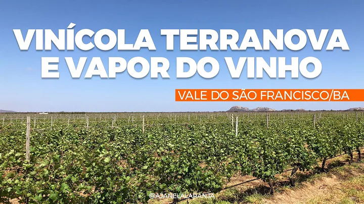 Vincola Terranova e Vapor do Vinho, Vale do So Fra...