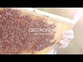 Benefits of natural honey  geohoney