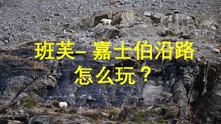 Banff - Jasper 国家公园的路上有什么可玩的景点？加拿大落基山脉，弓湖，佩托湖，哥伦比亚冰原，阿萨巴斯卡瀑布，峡谷，
