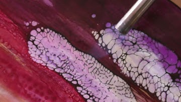 Alicia Tormey - Studio Session