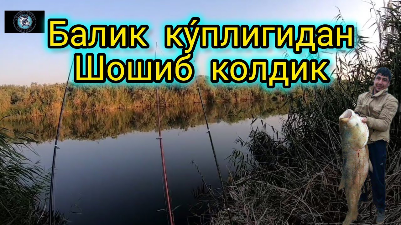 БАЛИК КУ́ПЛИГИДАН НИМА КИЛИШНИ БИЛМАЙ КОЛДИК