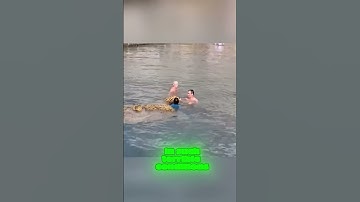 Thumbnail of Swimmers Save Sea Turtle Trapped in Ocean Garbage 🐢 | Faith in Humanity Restored#seaturtle #shorts