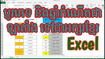 How to change Sex and Date of birth English to Khmer(Excel)