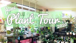 June Plant Tour 2020 screenshot 4