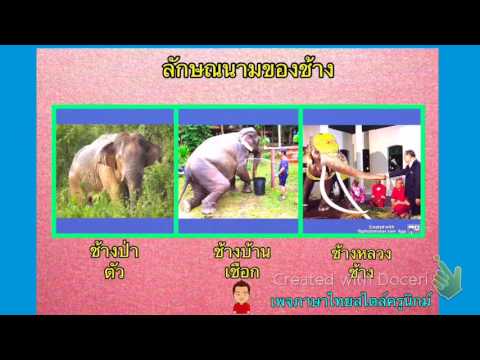 ลักษณนามของช้าง