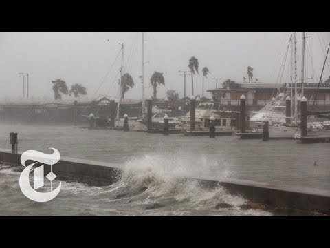 Video: Partite Fatte Velocemente Per Ospitare La Maratona Per L'ente Benefico Hurricane Harvey