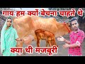 गाय हम क्यों बेचना चाहते थे क्या थी मजबूरी // #dailyvlog #vlogvideo #vlogsvideo #gopiarchanavlogs