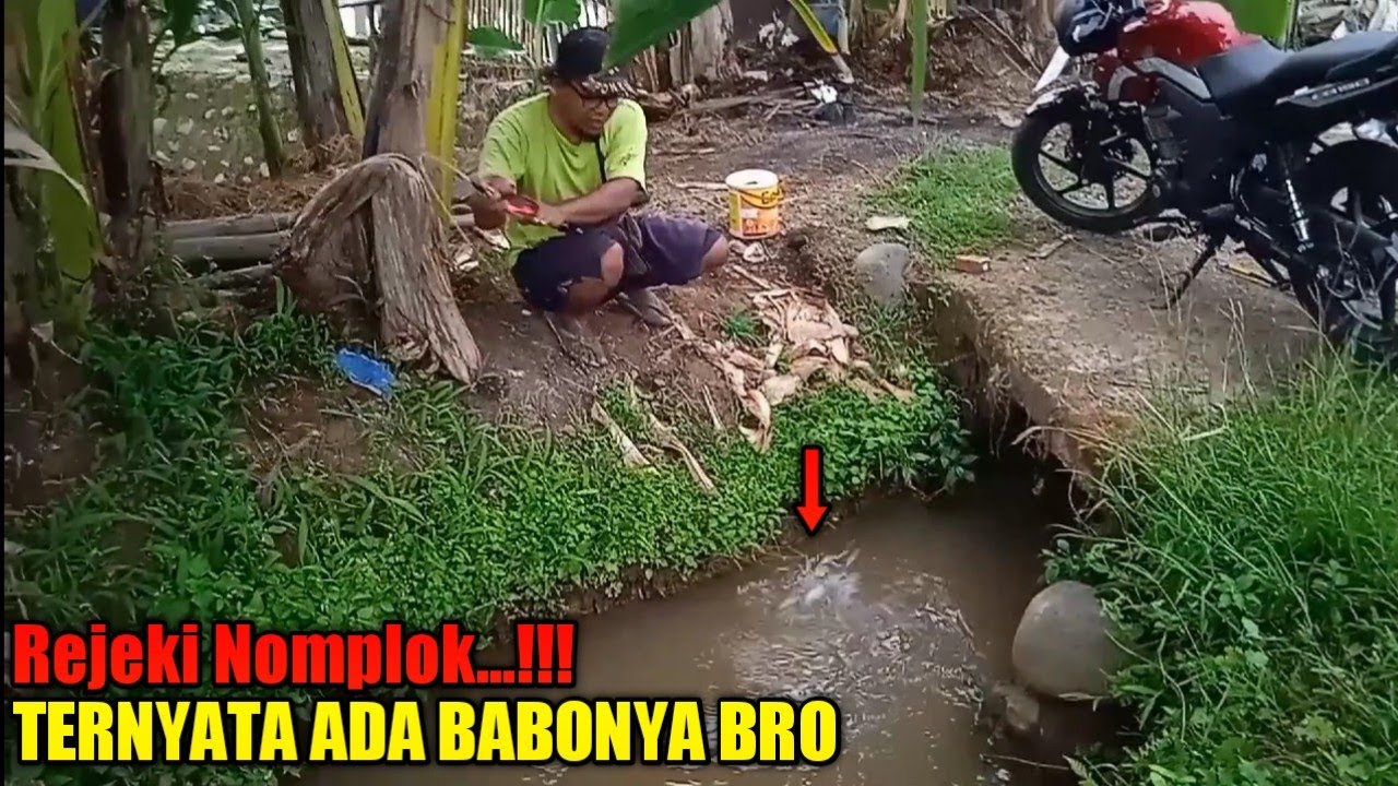 Rejeki...!!! Di Sambar Ikan Lele Bro || Mancing Nilem Di Selokan Pinggir Jalan