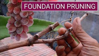 Foundation Pruning for Jupiter Grapes