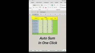 Autosum in One Click | Excel Sum Function |  MultiPle Sum By One Click | Excel TIPs & Tricks screenshot 5