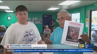 Time is of the essence Kern County Animal Shelter urges owners to look for their lost pets