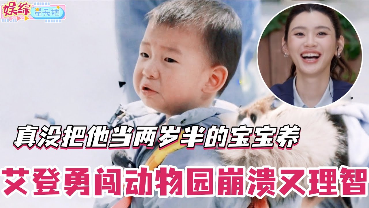 艾登勇闯动物园崩溃又理智！郑思维两口子真没把他当两岁半的宝宝养！#爸爸当家 #奚梦瑶 #郑思维 #爸爸当家4 #亲子 #综艺 #娱乐
