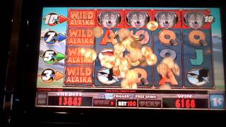 Wild Alaska Slot Machine Line Hit screenshot 2