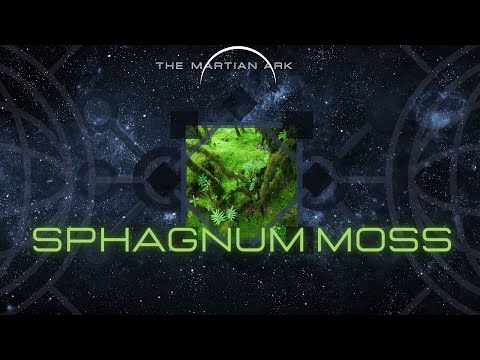 Video: Sphagnum-moerasse is 'n soort vleiland. Sphagnum veenmoeras