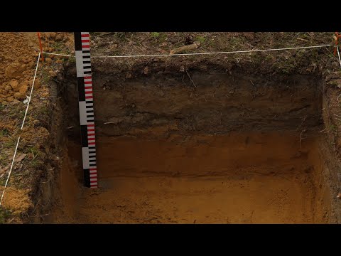 Video: Kas Ir Arheoloģija