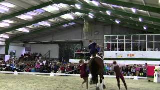 Volti Staats 2011 Himberg.mts