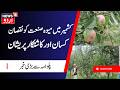 Kashmir Fruit industry Facing Losses Due to Climate Change | Crop Insurance for Apple Demanded |N18V