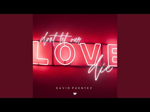 David Puentez - Don‘t Let Our Love Die