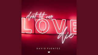 Don‘t Let Our Love Die - David Puentez