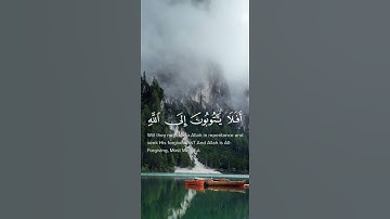 أفلا يتوبون إلى الله و يستغفرونه و الله غفور رحيم ||  القارئ: شريف مصطفى