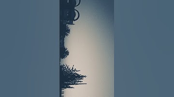 تلاوة هادئة (سورة الضحى) ...حالات واتس