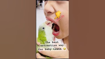 The best way removal baby tooth