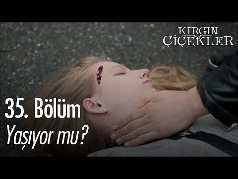 Aleyna'ya araba çarpıyor! - Kırgın Çiçekler 35. Bölüm