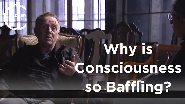 Colin McGinn - Why is Consciousness so Baffling?