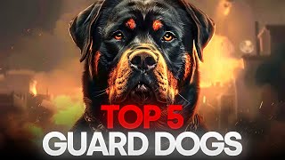 Top 5 MOST WANTED Guard Dogs