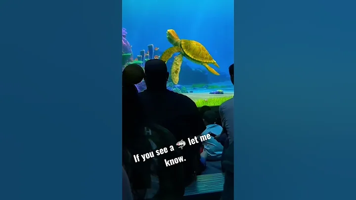 Disney World EPCOT - Turtle Talk with Crush - Shar...