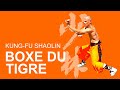 KUNG-FU SHAOLIN REIMS - Boxe du Tigre