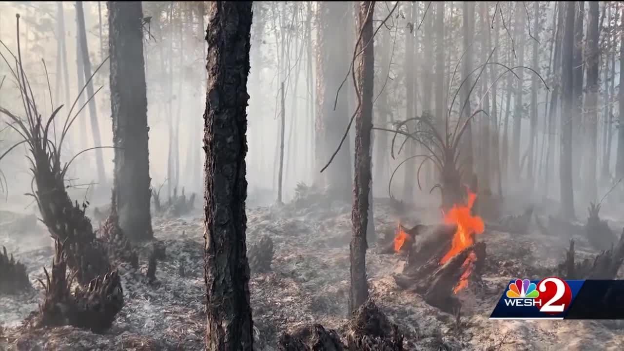 Officials concerned about brush fires while Central Florida in severe drought