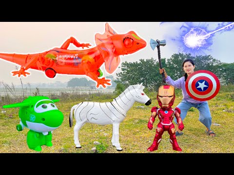 Video Changcady tranh kẹo với thằn lằn khổng lồ, chiến thắng... - youtube