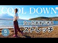 5分で疲れを取る【運動後のクールダウン】立ったままできるストレッチで疲労回復﻿ #292